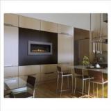 Napoleon LHD45 Modern Direct Vent Gas Fireplace